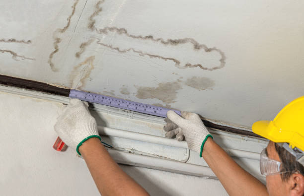 Reliable Water Damage Repair contractor in Bloomsbury, NJ by Hirex Water Damage
